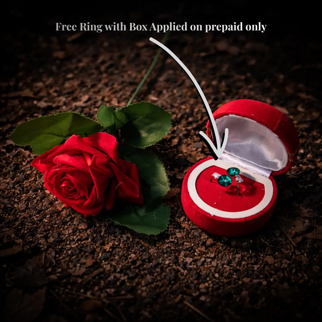 Viztora™ Signature Earing Box
